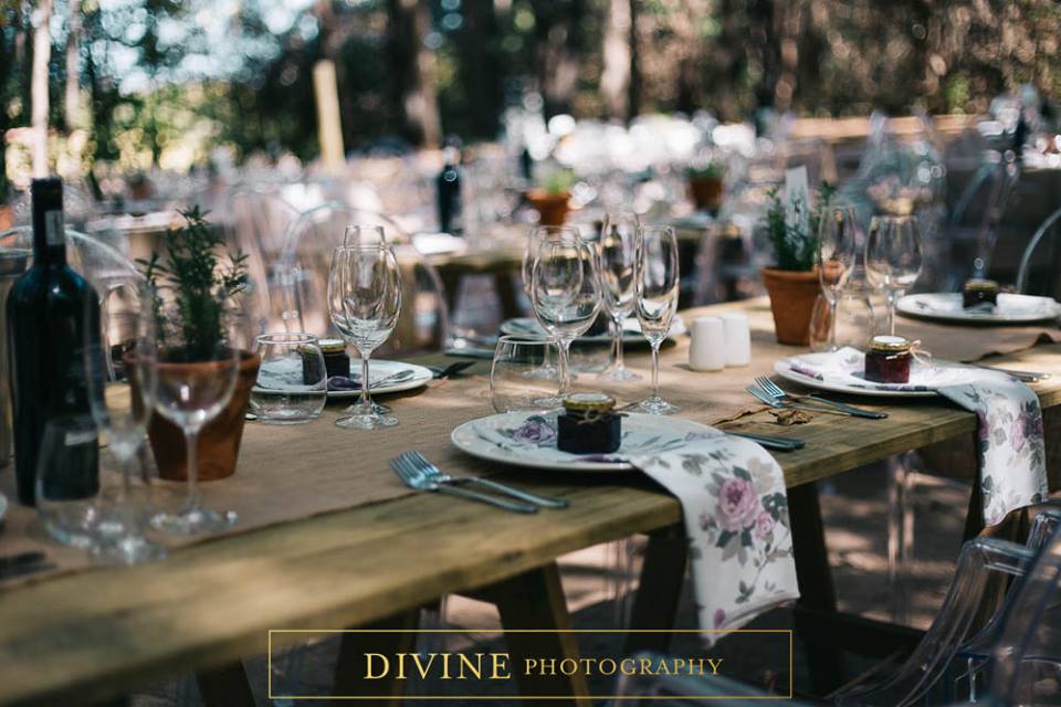 20638806_1649496281748002_3528737105010955911_n