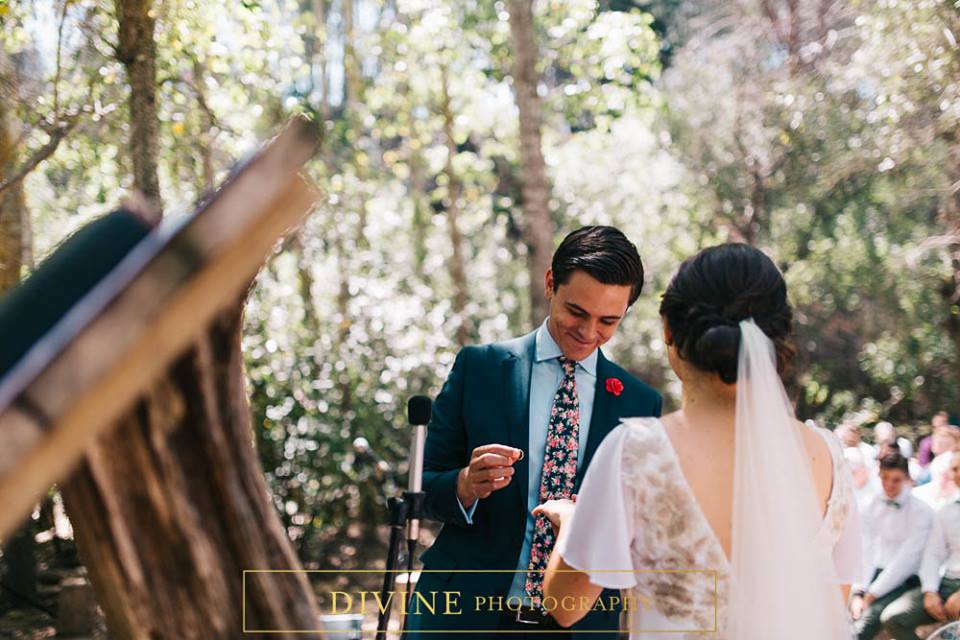 20728100_1649496888414608_6899725491598528623_n