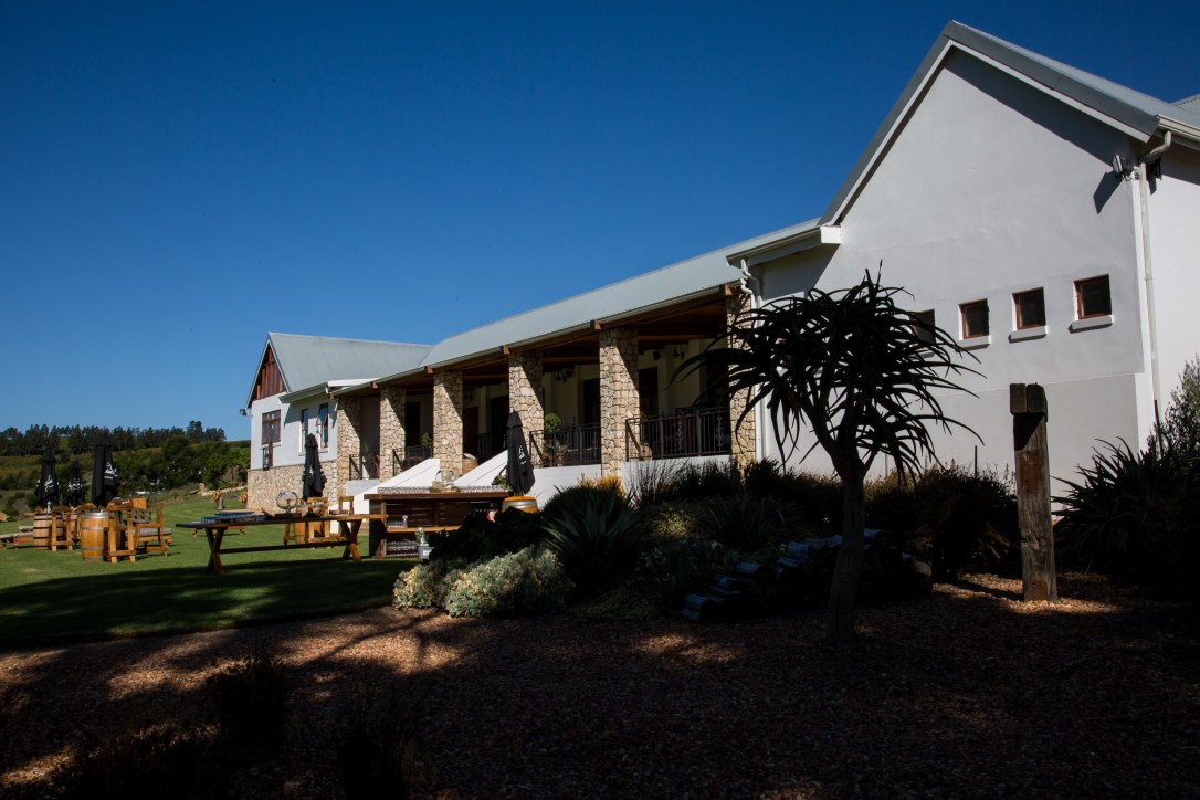 Wedding - Anne Herman ALL-190